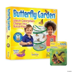 Butterfly Garden With FREE Gift