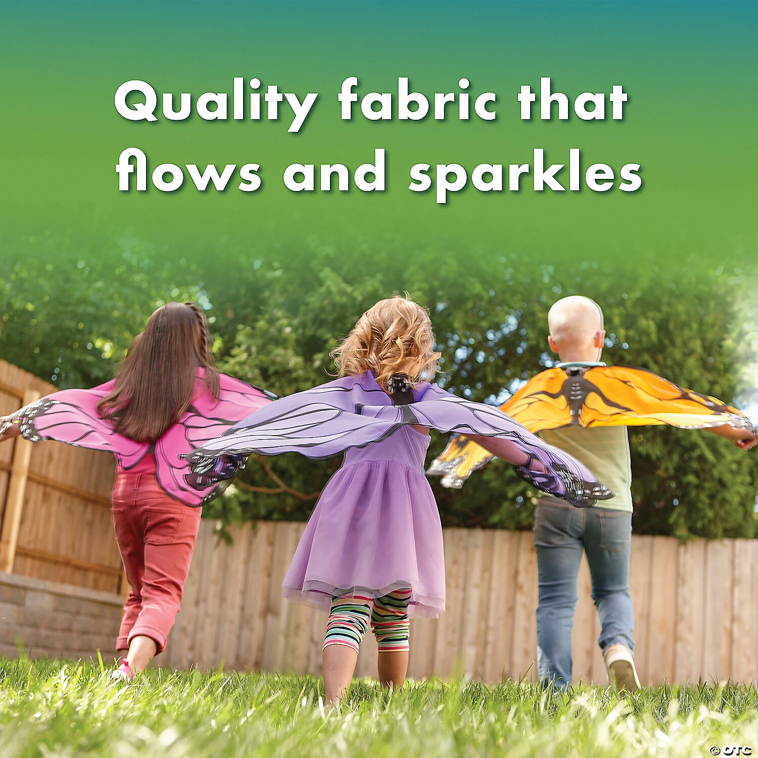 Butterfly Wings: Orange 3 Butterfly Wings: Orange - Image 3