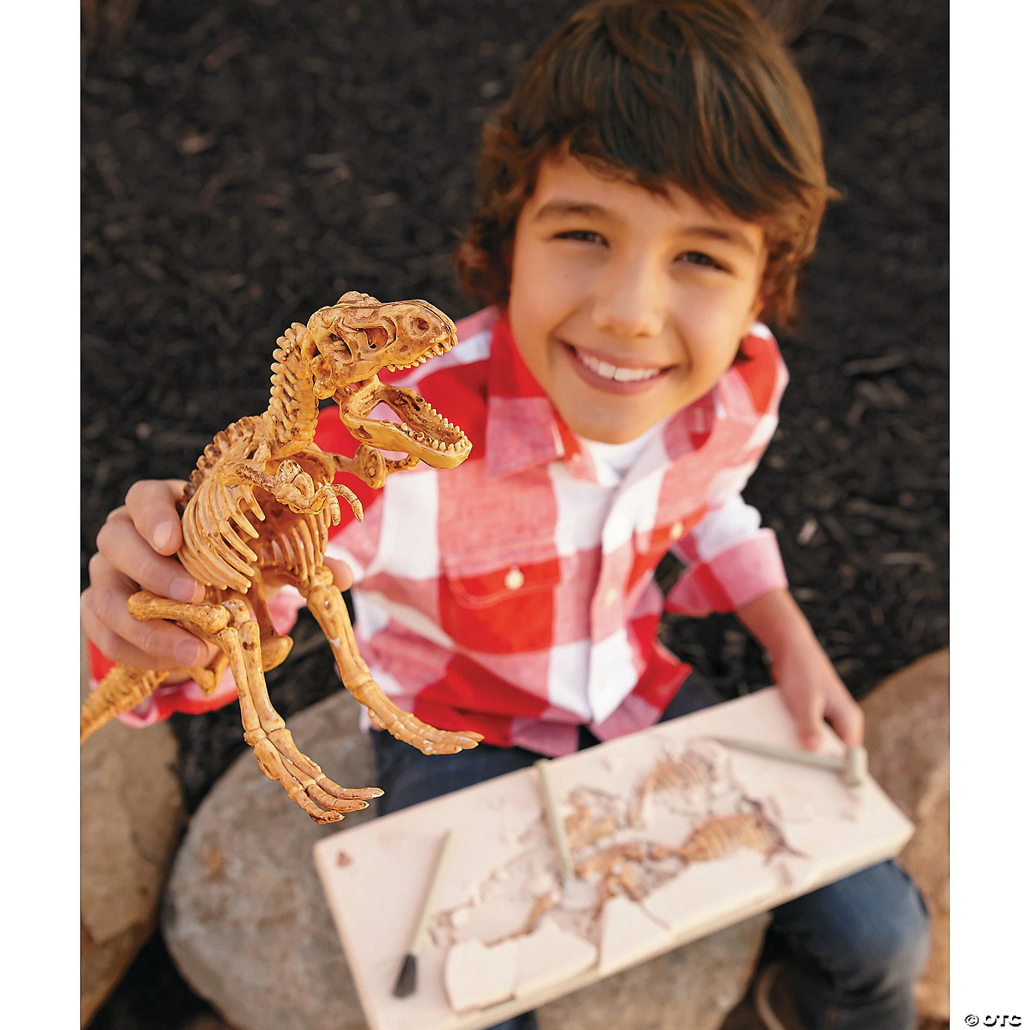 Dig It Up! Dino Model: T-Rex 2 Dig It Up! Dino Model: T-Rex - Image 2
