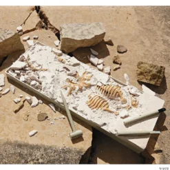 Dig It Up! Dino Model: T-Rex 7 Dig It Up! Dino Model: T-Rex -Children Toy Store dig it up dino model t rex68412 a02