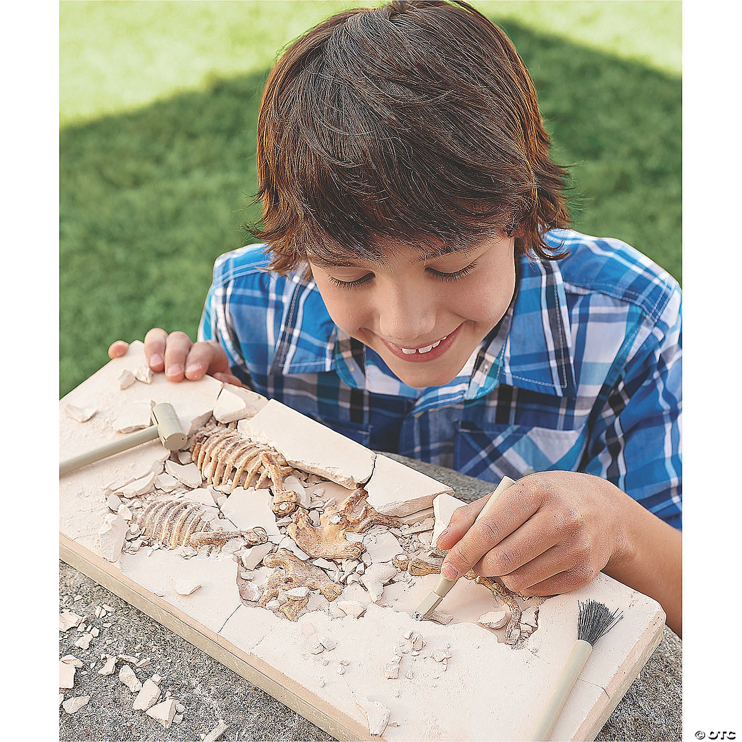 Dig It Up! Dino Model: Triceratops 2 Dig It Up! Dino Model: Triceratops - Image 2