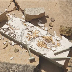 Dig It Up! Dino Model: Triceratops 7 Dig It Up! Dino Model: Triceratops -Children Toy Store dig it up dino model triceratops13940907 a02