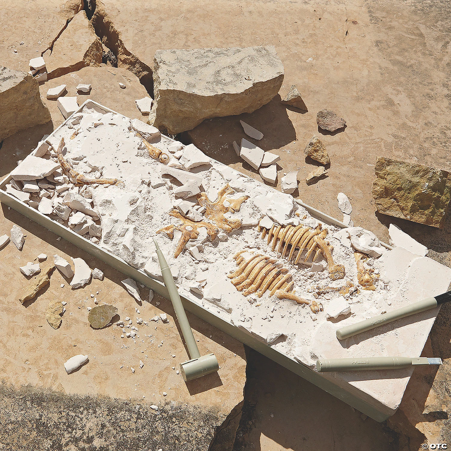 Dig It Up! Dino Model: Triceratops 3 Dig It Up! Dino Model: Triceratops - Image 3