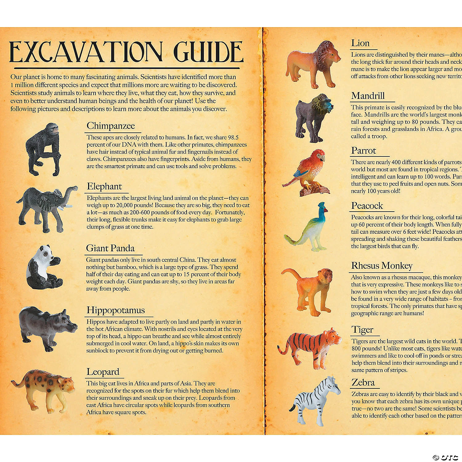 Dig It Up! Discoveries: Wild Animals 4 Dig It Up! Discoveries: Wild Animals - Image 4