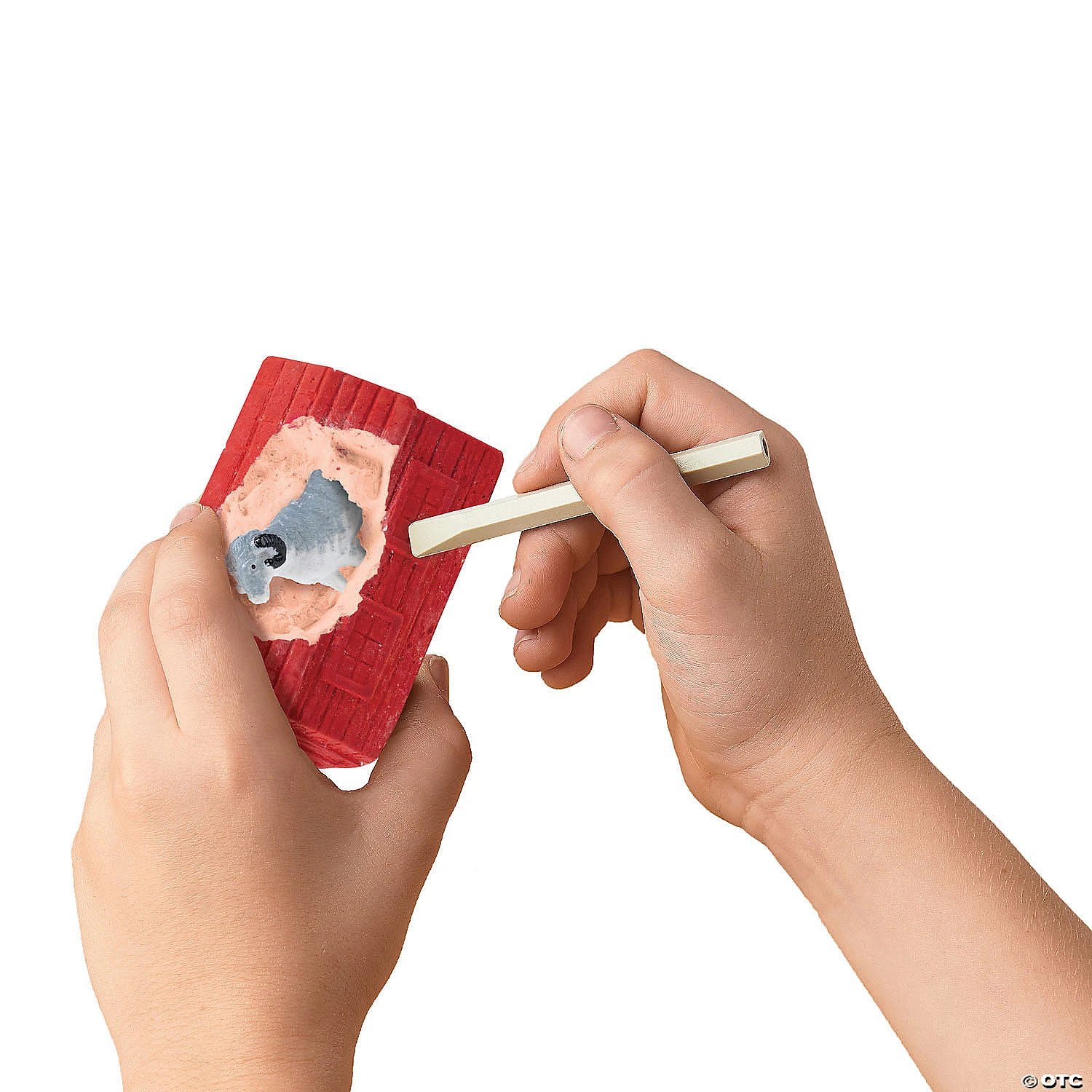 Dig It Up! Farm Discoveries 4 Dig It Up! Farm Discoveries - Image 4