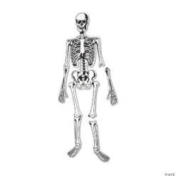 Learning Resources® Skeleton Foam Floor Jigsaw Puzzle 7 Learning Resources® Skeleton Foam Floor Jigsaw Puzzle -Children Toy Store learning resources skeleton foam floor jigsaw puzzle13965390 a02