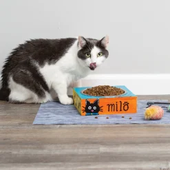 Make Your Own Pet Dish 9 Make Your Own Pet Dish -Children Toy Store make your own pet dish14255778 a05