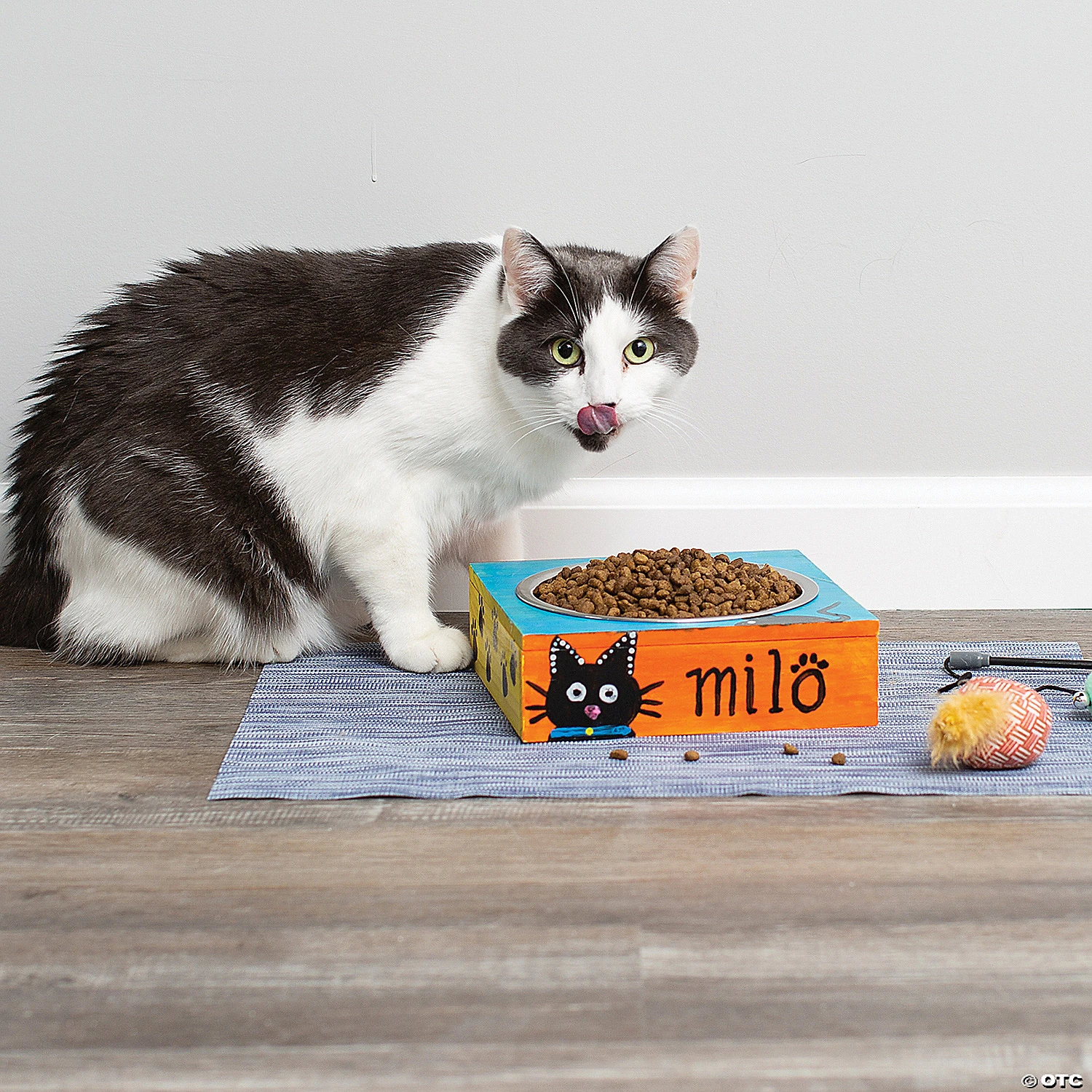 Make Your Own Pet Dish 5 Make Your Own Pet Dish - Image 5