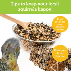 Make Your Own Squirrel Feeder -Children Toy Store make your own squirrel feeder14255781 a05
