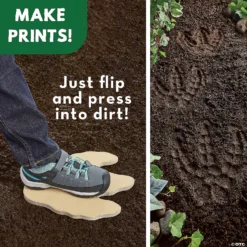 Paint Your Own Stepping Stone: Dinosaur Footprint -Children Toy Store paint your own stepping stone dinosaur footprint13838209 a03