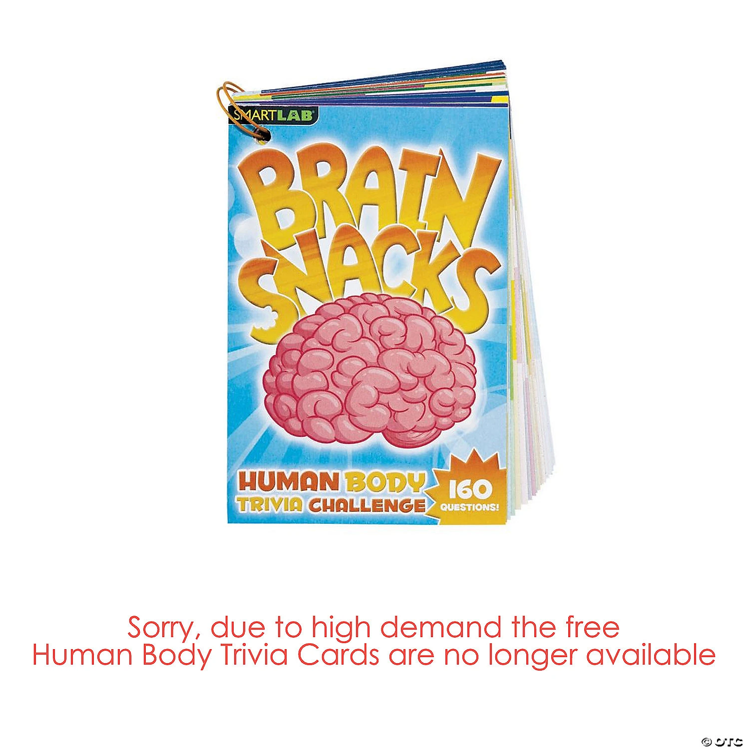 Squishy Human Body 2 Squishy Human Body - Image 2