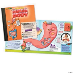 Squishy Human Body 8 Squishy Human Body -Children Toy Store squishy human body56164 a03