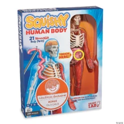 Squishy Human Body 9 Squishy Human Body -Children Toy Store squishy human body56164 a04